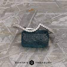 The Calliste Band - Earths Treasury