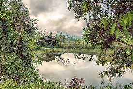 Wooden cabin in the woods with flowers around in autumn. Pond Reflections Of Log Cabin Photograph By Sergio Florez Alonso