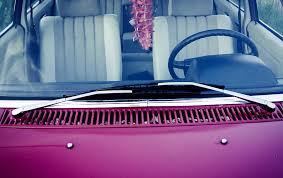 Removing Love Bugs From Your Houston Auto Glass