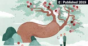 A New Treatment For A Painful Penis Curvature The New York Times