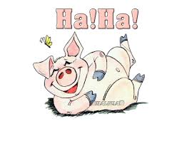 RÃ©sultat de recherche d'images pour "mdr gif"