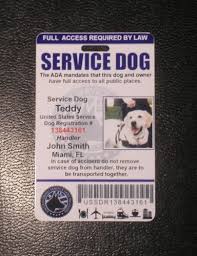 Service Dog Pet Id Card Badge Assistance Animal Ada Tag 29 Service Dogs Service Dog Registration Pet Id