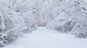 Scenic Landscape Wallpaper Hd Scenic Winter Path Wallpaper Winter Snow Wallpaper Winter Wallpaper Winter Wonderland Wallpaper