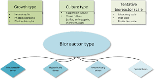 We did not find results for: Bioreactor Technology For Sustainable Production Of Plant Cell Derived Products Springerlink