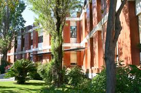 Instituto bernabeu unit for treatment. Instituto Gulbenkian De Ciencia Wikipedia
