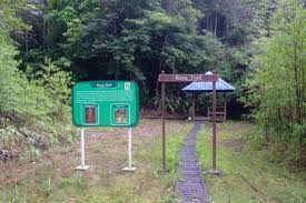 1.61173, 110.1963) is a national park in the kuching division of sarawak. Gunung Serapi Kubah National Park Jedrzej S Borneo Blog