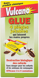 We did not find results for: Piege Anti Cafard Pheromone Collant Amazon Fr Cuisine Et Maison