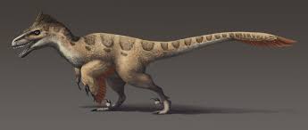 Utahraptor is the largest of all raptor dinosaurs. Utahraptor Facts Habitat Pictures And Diet