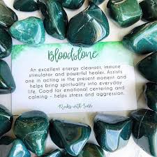 Bloodstone Affirmation I Choose To Live In The Only Moment Where There Is Life The Present Moment Spiritual Crystals Crystal Healing Stones Chakra Crystals