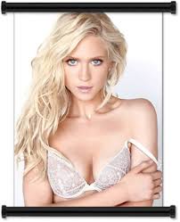 Brittany Snow Sexy Hot Actress and Singer Fabric Wall Scroll Poster (32 X  43) Inches : Amazon.ca: Home