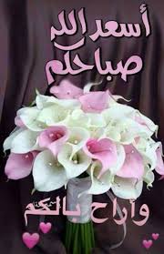 desertrose كن كالورد لأن الورد من أجمل مافي الحياة فهو يحمل العديد من اللغات ال beautiful morning messages good morning flowers good morning beautiful images
