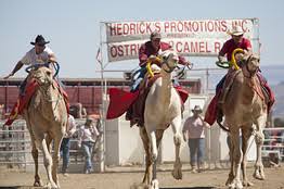 Virginia city, nevada is an old west town that's famous for 1859's comstock lode silver ore discovery. In This Nevada Town Hump Day Has A Very Special Meaning Wsj