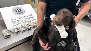 K9 alert leads to $44,000 cash seizure from Mexico-bound traveler in Philly