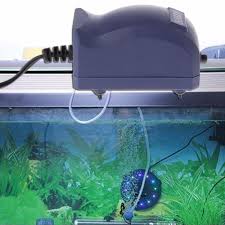 Efficient Aquarium Air Pump Silent Oxygen Fish Tank Bubble Single Outlet Eu Plug Aquarium Accessories Yesterday S Pr Aquarium Air Pump Fish Tank Fish Supplies