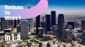 Be sure to bring your identification as well as proof of residency for california. Can You Get A Medical Card Under 21