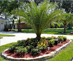 Home Exterior Ideas Palmtrees Canary Island Date Palm Phoenix Canariensis With Smal Palm Trees Landscaping Small Tropical Gardens Garden Ideas For Small Yards
