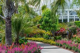 Roberto Burle Marx Exhibition At Ny Botanical Garden Celebrates Brazilian Modernism Ny Botanical Garden Botanical Gardens Landscape Design