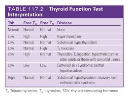 Image result for Thyroid Function Test