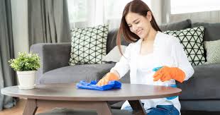 Check spelling or type a new query. Cleaners House Cleaning Services In The Netherlands Schoonmaker