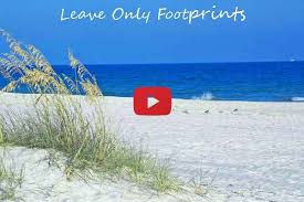 Beach warning flags are present at the following locations. Orange Beach