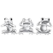 Black And White Frog Species Solar Trans Color Changing Transfer Black White Changes To Etsy In 2020 Frog Drawing Frog Art Frog Illustration