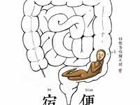 2016 11 25 15 19 03 elynn bytara 宿便堆集在腸道內發酵 腐敗 並不斷產生各種毒素 毒氣 造成腸內環境惡化 腸胃功能紊亂 既而引發內分泌失調 新陳代謝紊亂 還有可能引發各種病症 可以毫不誇張地說 腸道問題是萬病之源 你排毒了嗎 art