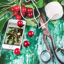 The apps are perfect from beginners as well as experiences gardeners. Best Gardening Apps House Of Hawthornes
