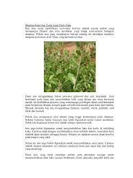 Yaps, tak hanya kesegarannya saja yang mampu menghilangkan dahaga, juga karena kandungan vitaminnya yang banyak. 7000 Gambar Daun Inai Untuk Kesehatan Gratis Gambar Id