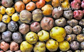 We did not find results for: Papa O Patata Algo De Su Historia