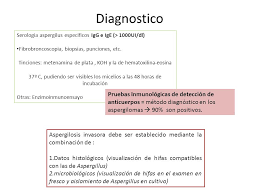 Learn vocabulary, terms and more with flashcards, games and other study tools. Mucormicosis Zigomicosis Ppt Descargar