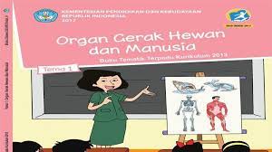 Kunci jawaban buku tema 1 kelas 5 halaman 38. Kunci Jawaban Tema 1 Kelas 5 Halaman 9 10 11 12 13 14 15 16 17 18 19 Subtema 1 Organ Gerak Hewan Tribun Pontianak