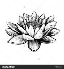 51 Ideas Tattoo Lotus Flower Black Water Lilies For 2019 51 Ideas Tattoo Lotus Flower Black Water Li Water Lily Tattoos Lily Flower Tattoos Lily Tattoo Design