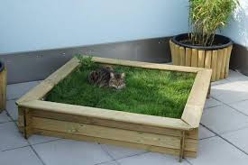 Top 10 Des Arbres A Chat Inspires De La Nature Qu On Veut Sur Le Champs Arbre A Chat Maison Chat Animal Domestique