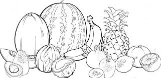 Gambar mewarnai buah sebelumnya kami telah memberikan cukup banyak gambar mewarnai hewan dan juga gambar mewarnai islami nah unuk kali ini kami akan memberikan gambar mewarnai buah. Gambar Mewarnai Dan Contoh Warnanya