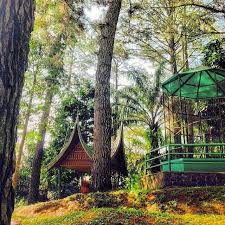 Contoh tiket masuk kebun binatang bukittinggi. Objek Wisata Kebun Binatang Bukittinggi Sumatera Barat Sumbar Promo Jitu Com