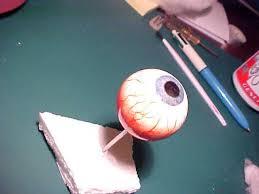 Realistic Eyeball With Muscle Wip Eye Anatomy Anatomy Models Eyeball