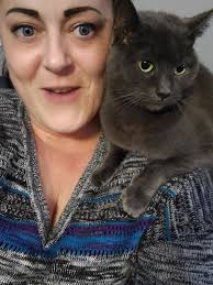 Are there brown cats that aren't Havana Browns?