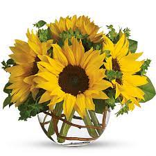 Consider getting this for a mother who doesn't have any pets. Find The Flower Symbol For Your Astrology Sign Teleflora
