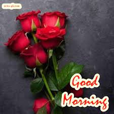 201+ good morning flower images free download 2021. Good Morning Wishes With Flowers Free Download Good Morning