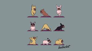 Scopri la traduzione in francese del termine signore nel dizionario di francese di corriere.it. Rescue Bouledogue Francese Italia Posts Facebook
