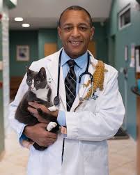 Visit island pet hospital in las vegas, nv and save 25% on your vet bill with a pet plan by pet assure. Island Pet Hospital Viera The Y Guide