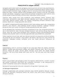 Tapi kalau warnanya coklat, apakah hal tersebut termasuk wajar dan dianggap normal? Peranan Ganggang Coklat Phaeophyta