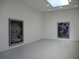 Thomas Ruff: photograms and ma.r.s. @David Zwirner: A Review Conversation  with Richard B. Woodward | Collector Daily