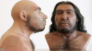 Der neandertaler lebte in der altsteinzeit (paläolithikum). Urzeit Neandertaler Urzeit Geschichte Planet Wissen