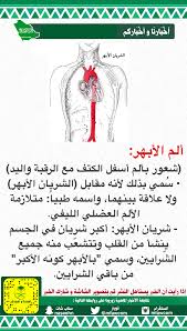 الشريان الأبهر