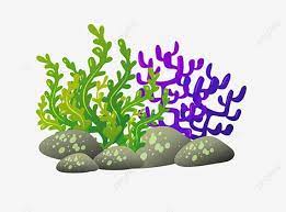  Hierba Algas Algas Coral Imagenes Predisenadas De Algas Mar De Coral Coral Reef Png Y Vector Para Descargar Gratis Pngtree In 2021 Pink Flowers Background Colorful Backgrounds Flower Backgrounds