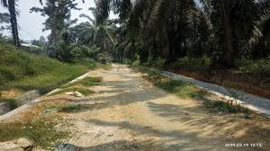 Mimpi berjalan di air jernih. Terbaik Cari Arti Mimpi Jalan Becek