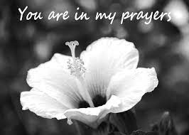We did not find results for: You Are In My Prayers Card Black And White Hibiscus Photograph By Kerri Ligatich