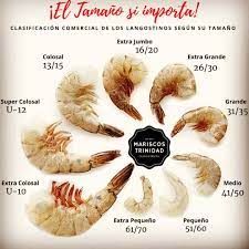Langostinos de diferentes tamaños