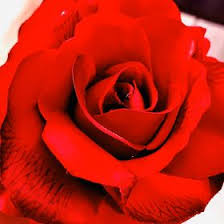 Then connect it to xbox one, and leave it as is. Xavier Cruz Xaviercruz190 Profile Pinterest